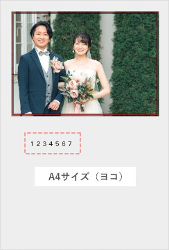 ご購入時の「ご注文番号(7桁)」を入力